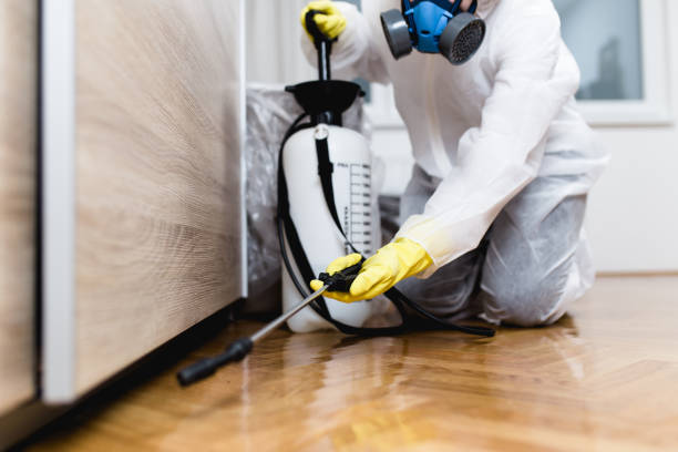 Best Exterminator Services  in Bradley Gardens, NJ