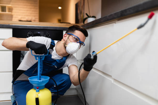 Best Pest Control Near Me in Bradley Gardens, NJ