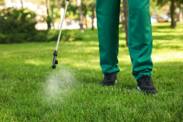 Best Insect Control  in Bradley Gardens, NJ