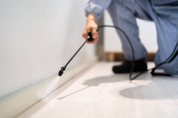 Best Termite Control Services  in Bradley Gardens, NJ