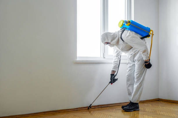Best Pest Control Near Me  in Bradley Gardens, NJ