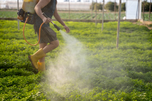 Best Affordable Pest Control Services  in Bradley Gardens, NJ