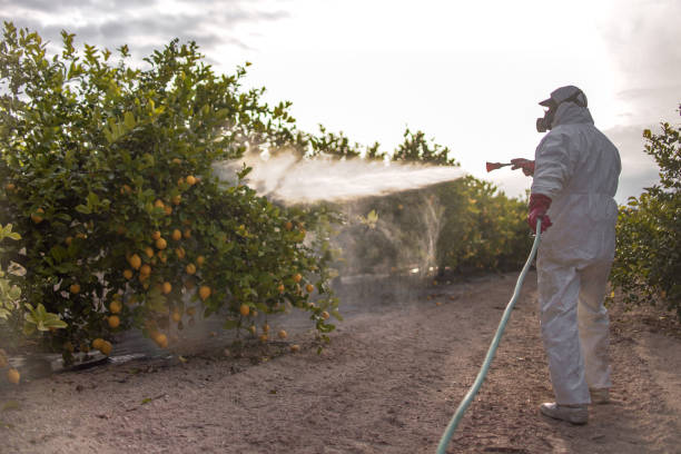 Wildlife Control Services in Bradley Gardens, NJ