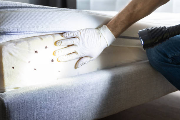 Pest Control for Restaurants in Bradley Gardens, NJ