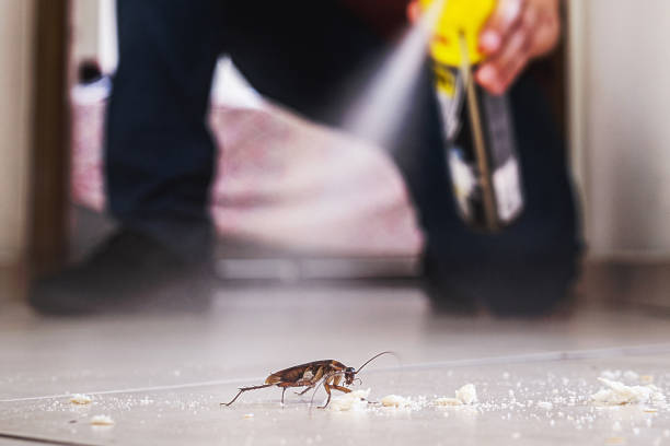 Best Pest Control for Restaurants  in Bradley Gardens, NJ