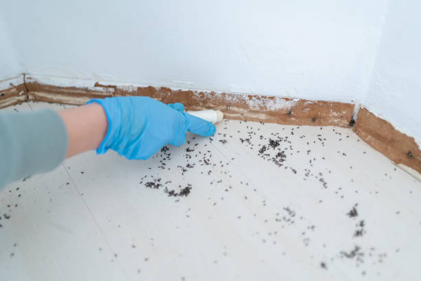 Best Emergency Pest Control  in Bradley Gardens, NJ
