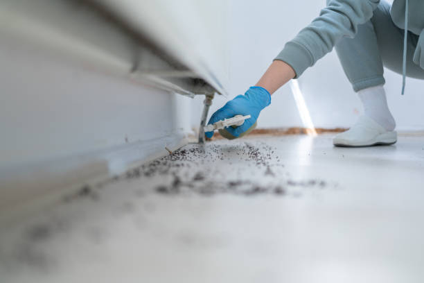 Best Affordable Pest Control Services  in Bradley Gardens, NJ